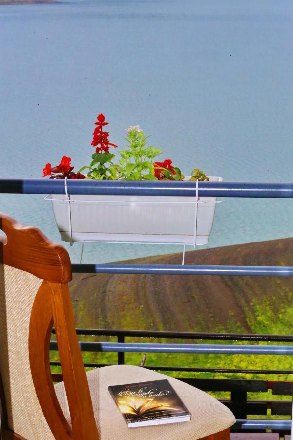 Tara Lake Apartments Jevtici 외부 사진